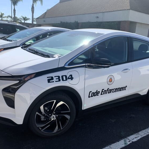Vehicle Graphics